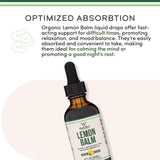 Double Wood Supplements Lemon Balm Liquid Drops packaging