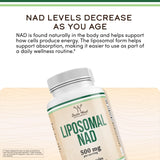 Double Wood Supplements NAD+ 60 Capsules back view