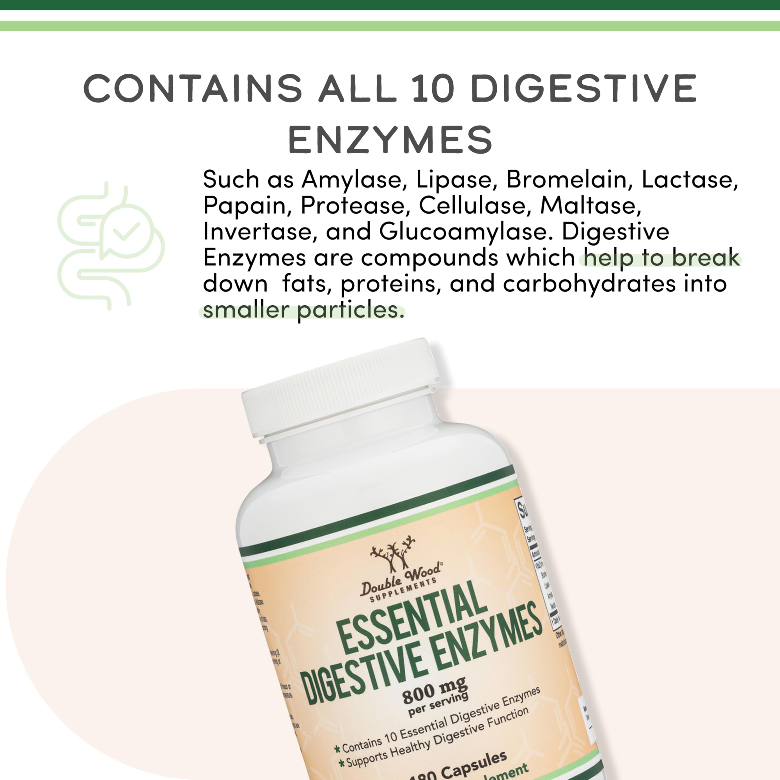 Double Wood Supplements VitaZyme daily Enzyme Blend side view