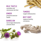 Dr. Barry's Milk Thistle Supplement ingredients list