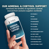 Dr. Berg Nutritionals Adrenal Extracts packaging