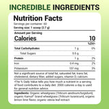 Dr. Berg Nutritionals Chlorophyll Powder 227g lifestyle scene