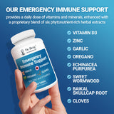 Dr. Berg Nutritionals Echinacea 8-in-1 daily wellness Support Supplement on a table
