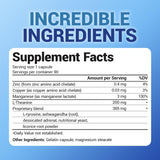 Dr. Berg Nutritionals L-Theanine 200 mg capsules in a hand