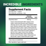 Dr. Berg Nutritionals Organic Vegetable Blend Supplement in a lifestyle setting