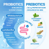 Dr. Berg Nutritionals Probiotics with Prebiotics on a kitchen counter