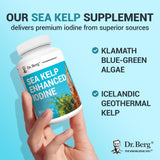 Dr. Berg Sea Kelp Iodine supplement bottle back view