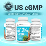 Dr. Berg Sea Kelp Iodine supplement packaging