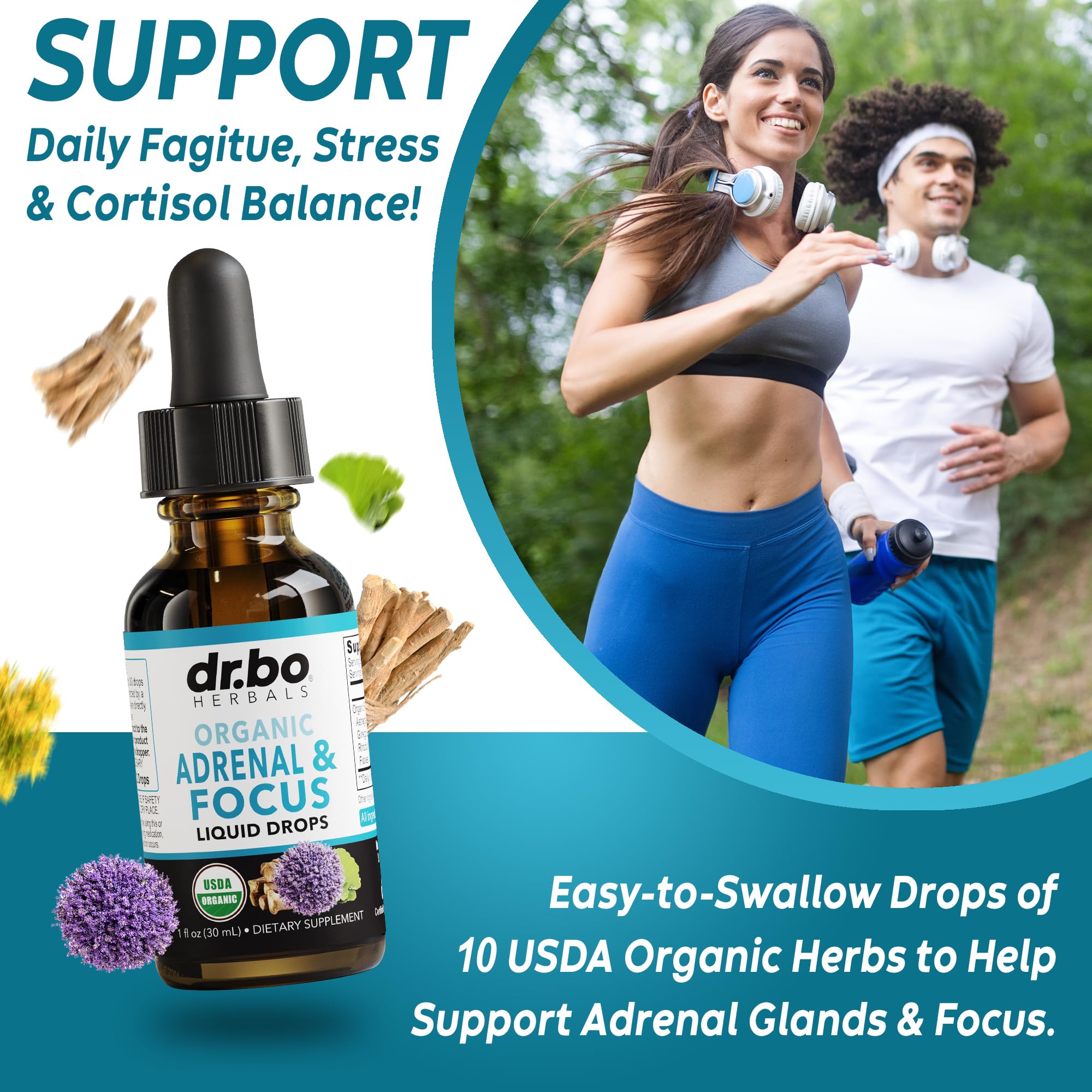 DR. BO Ginkgo Biloba Adrenal Support Drops side view