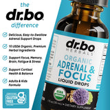 DR. BO Ginkgo Biloba Adrenal Support Drops with ingredients list