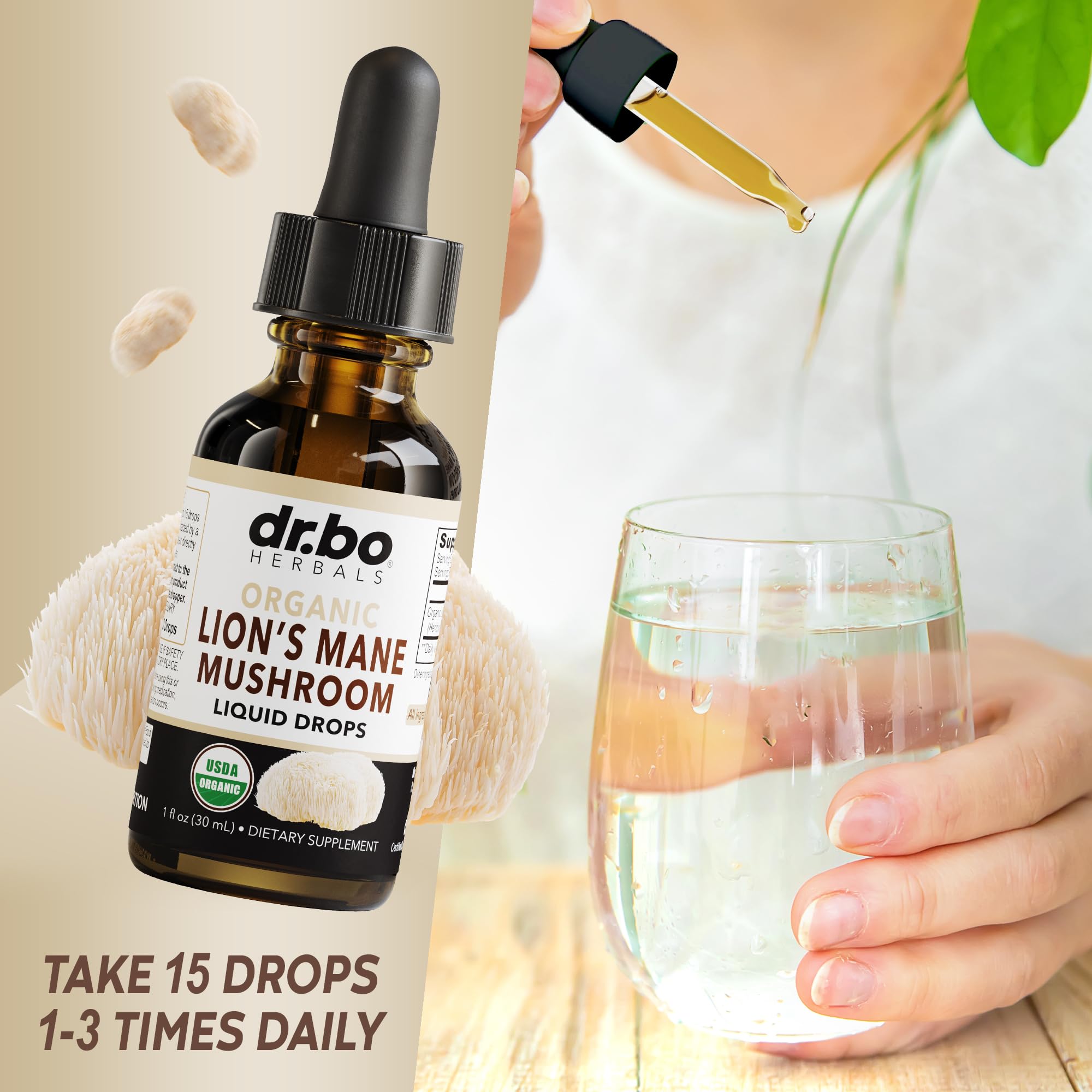 DR. BO Lion’s Mane Mushroom Supplement packaging details
