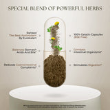 Dr Clark Store Herbal Supplement 330mg capsules close-up