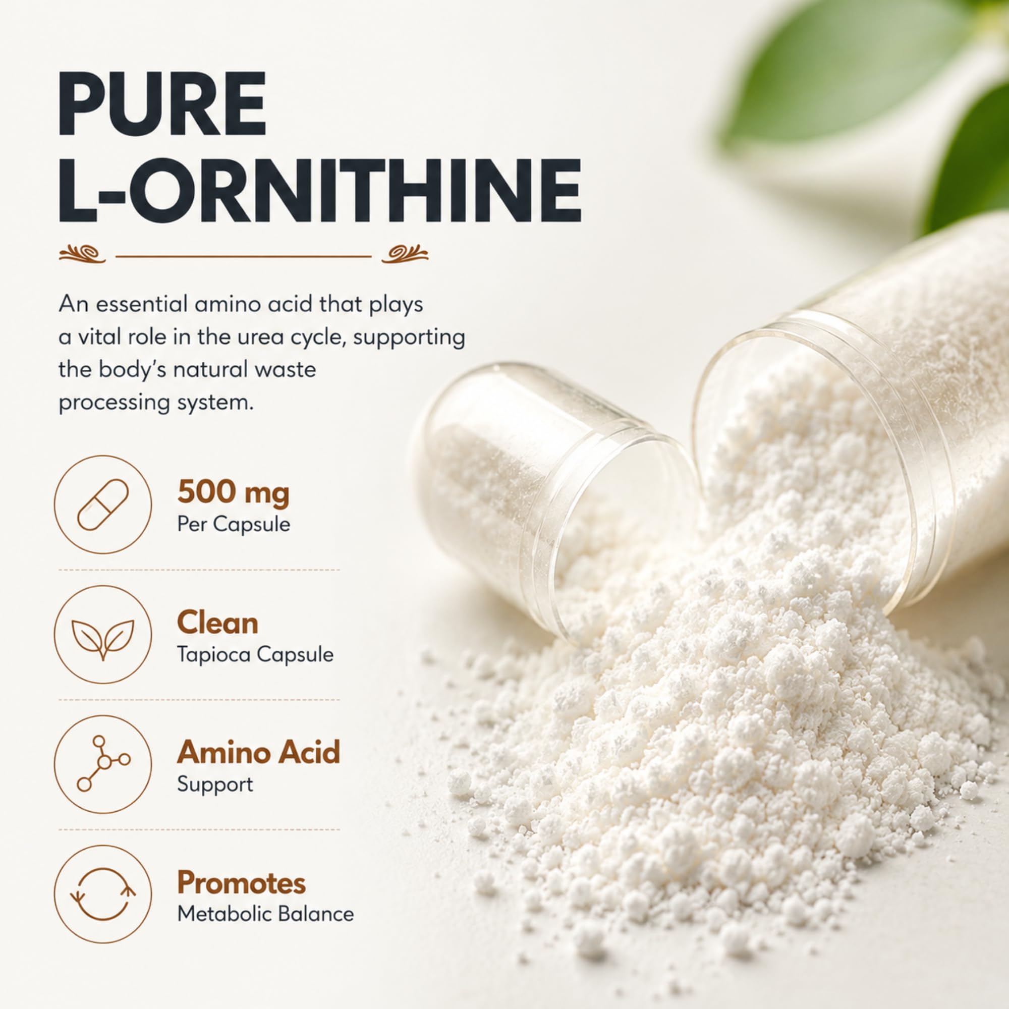 Dr Clark Store L-Ornithine Capsules 50g packaging