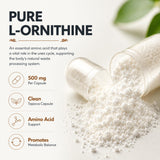 Dr Clark Store L-Ornithine Capsules 50g packaging