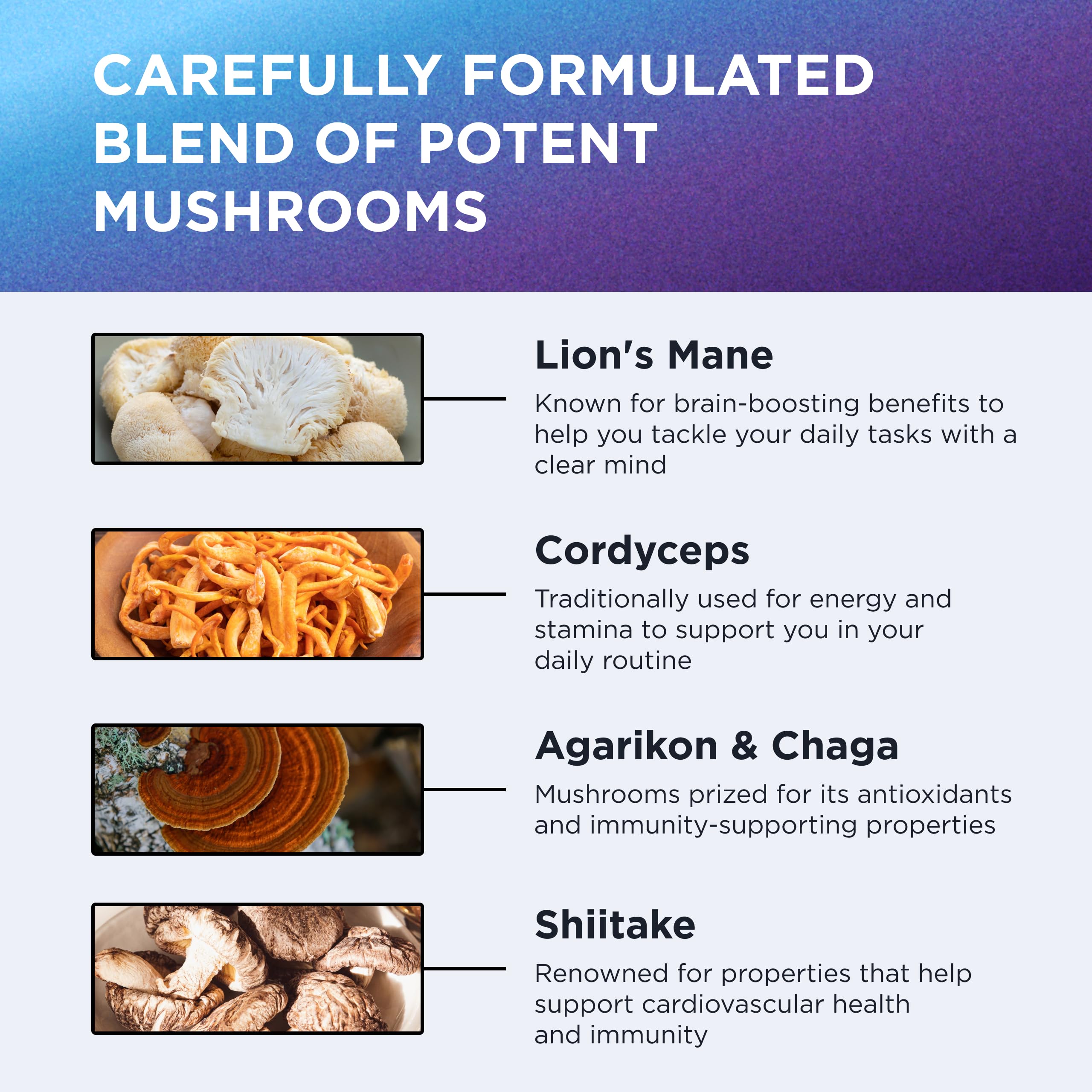 DR. EMIL NUTRITION Mushroom Complex capsule close-up