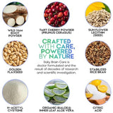 Dr Lewis Nutrition Brain Support Supplement lifestyle scene