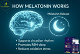 Dr. MarieM Sleep Ease+ Melatonin Gummies on a wooden table