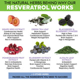DR. MARTIN'S NUTRITION Resveratrol Supplement with measuring scoop