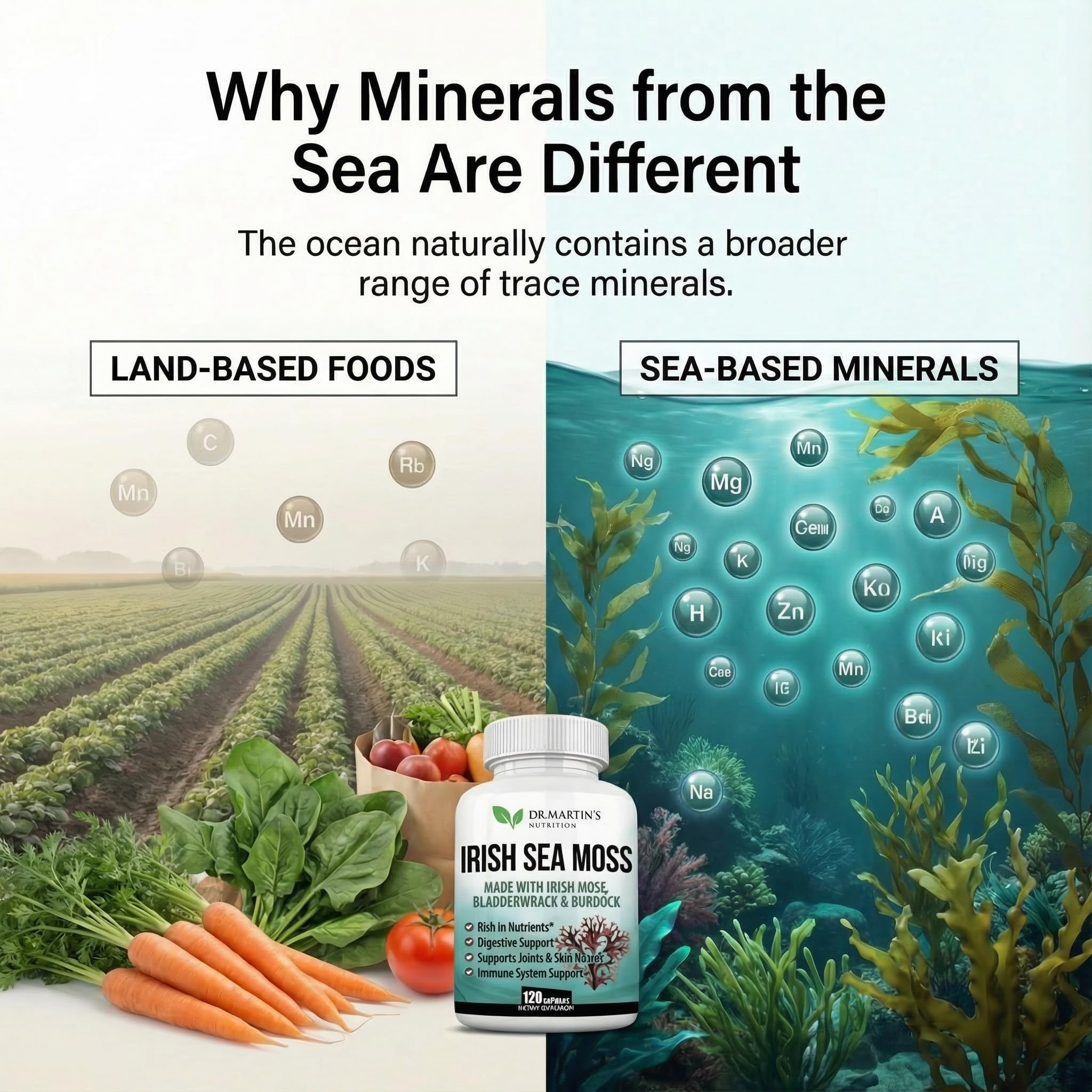 DR. MARTIN'S NUTRITION Sea Moss Trio Capsules with packaging