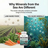 DR. MARTIN'S NUTRITION Sea Moss Trio Capsules with packaging