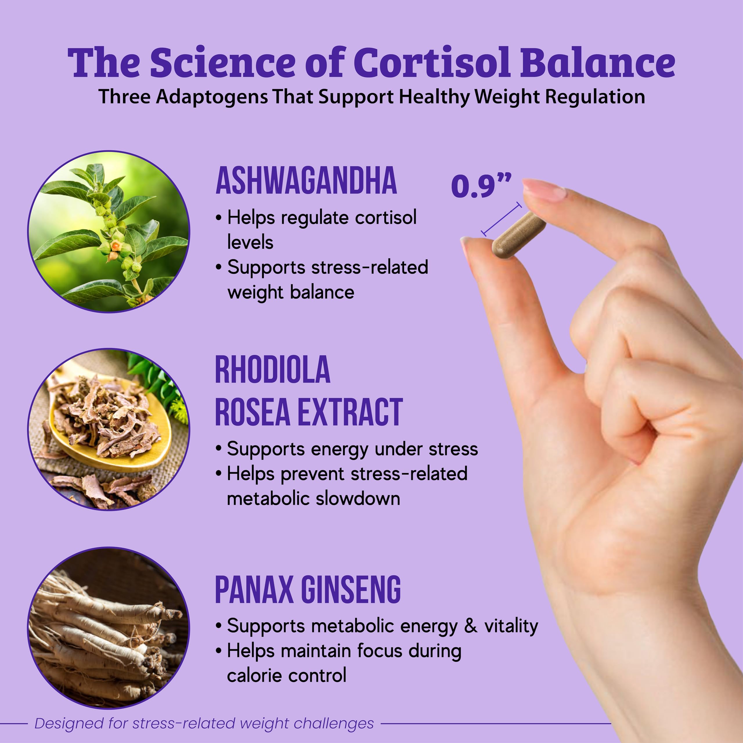 Dr. Matthew Ashwagandha Supplement ingredients list