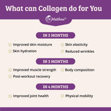 Dr. Matthew Collagen Peptides Powder 454g mixed in a smoothie