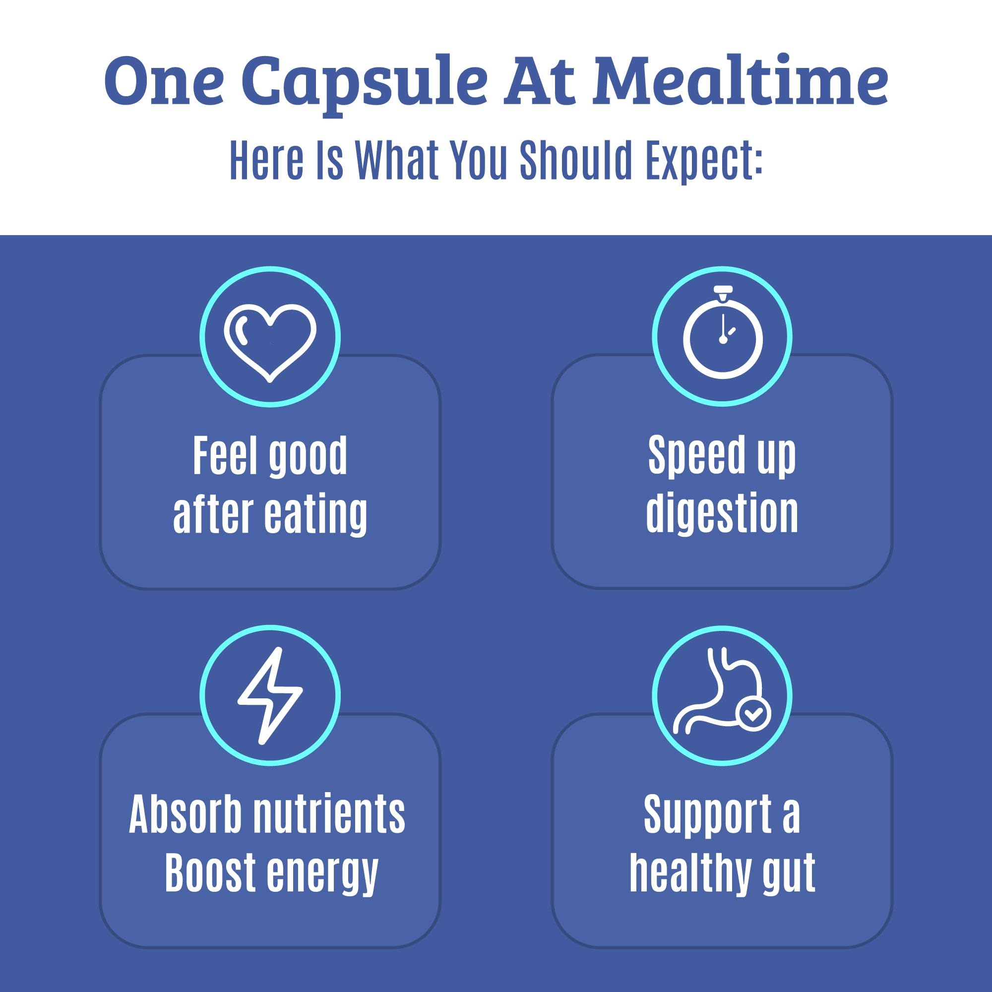 Dr. Matthew Multi-Enzyme Supplement back view with ingredient list