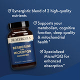 Dr. Mercola Berberine and MicroPQQ Advanced 500mg capsule ingredients list