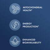 Dr. Mercola Berberine and MicroPQQ Advanced 500mg capsule packaging