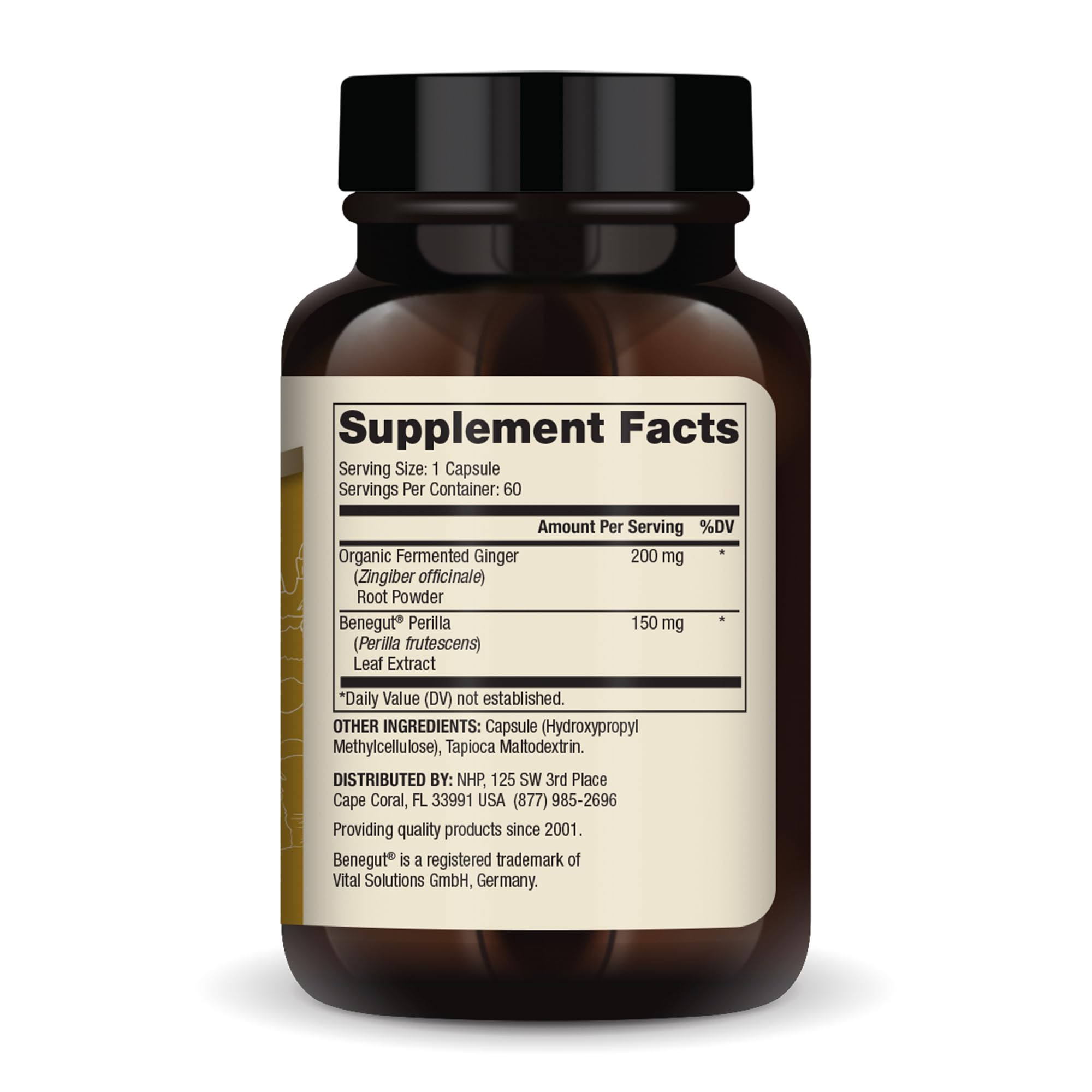 Dr. Mercola Fermented Ginger with Benegut 200mg capsule back view