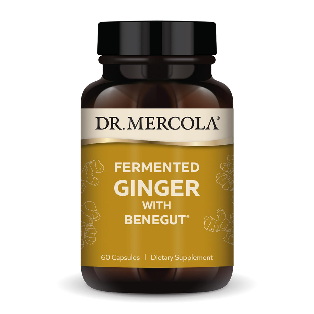 Dr. Mercola Fermented Ginger with Benegut 200mg capsule front view