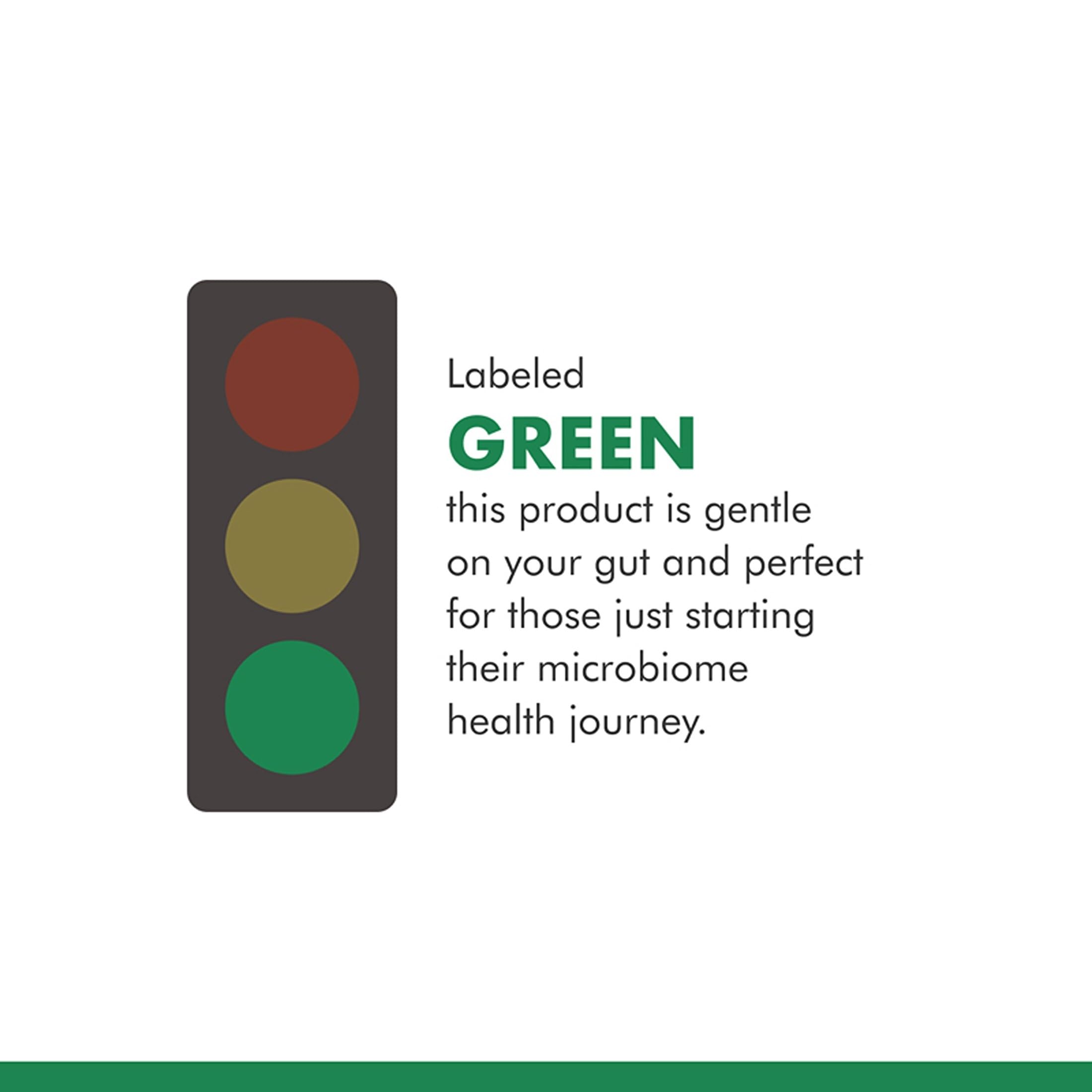 Dr. Mercola L-Theanine Plus GABA ingredients list