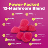 DR. MORITZ Lion’s Mane Mushroom Gummies mixed berry flavour