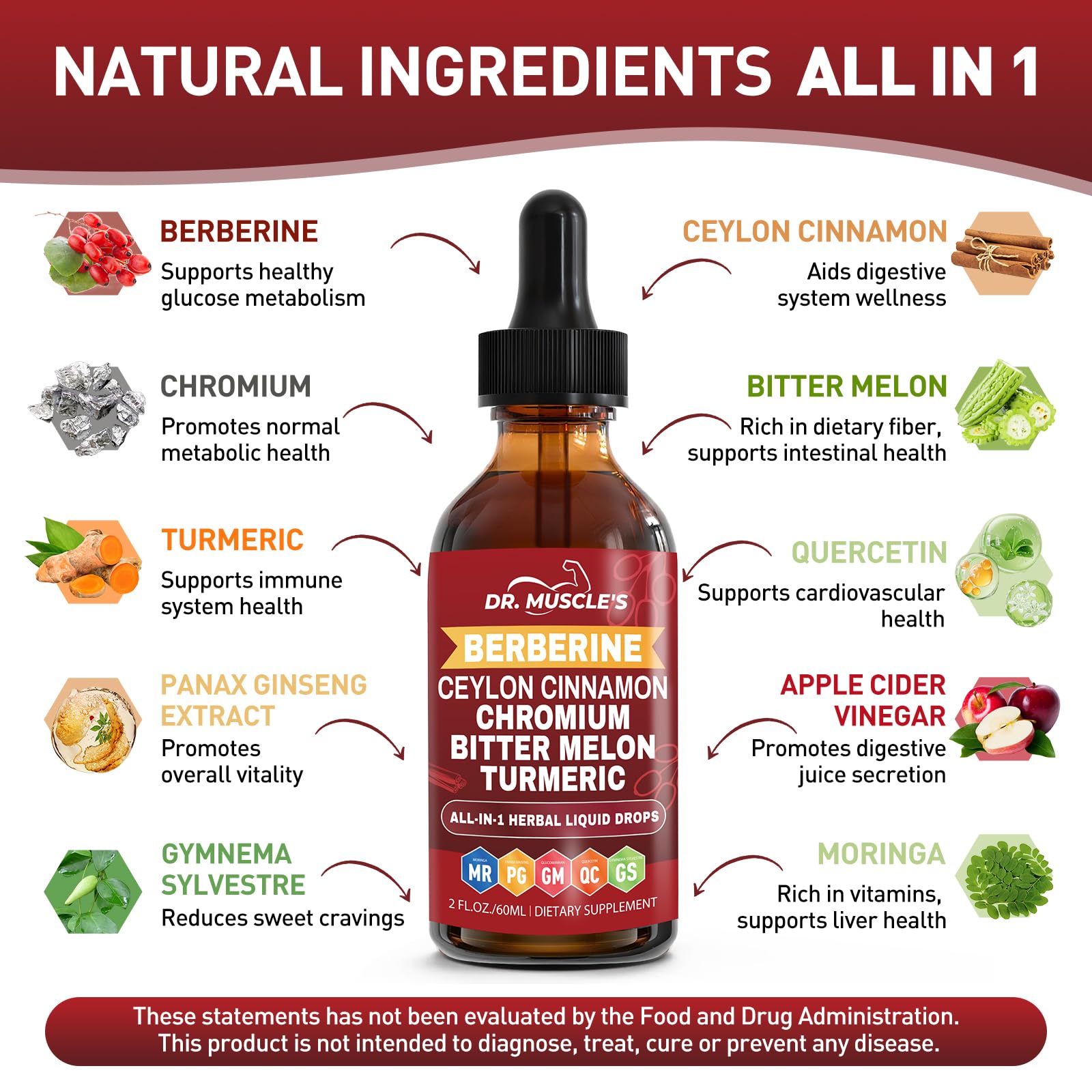 DR. MUSCLE'S Berberine Liquid Drops ingredients list on the back