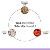 Dr. Schulze's Echinacea Plus liquid in a glass of water