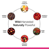 Dr. Schulze's Super-C Plus Vitamin C Supplement with organic fruits