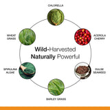 Dr. Schulze's SuperFood 100 back view packaging