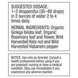 Dr. Schulze's Vegan Brain Formula Ginkgo Biloba 118g on a table