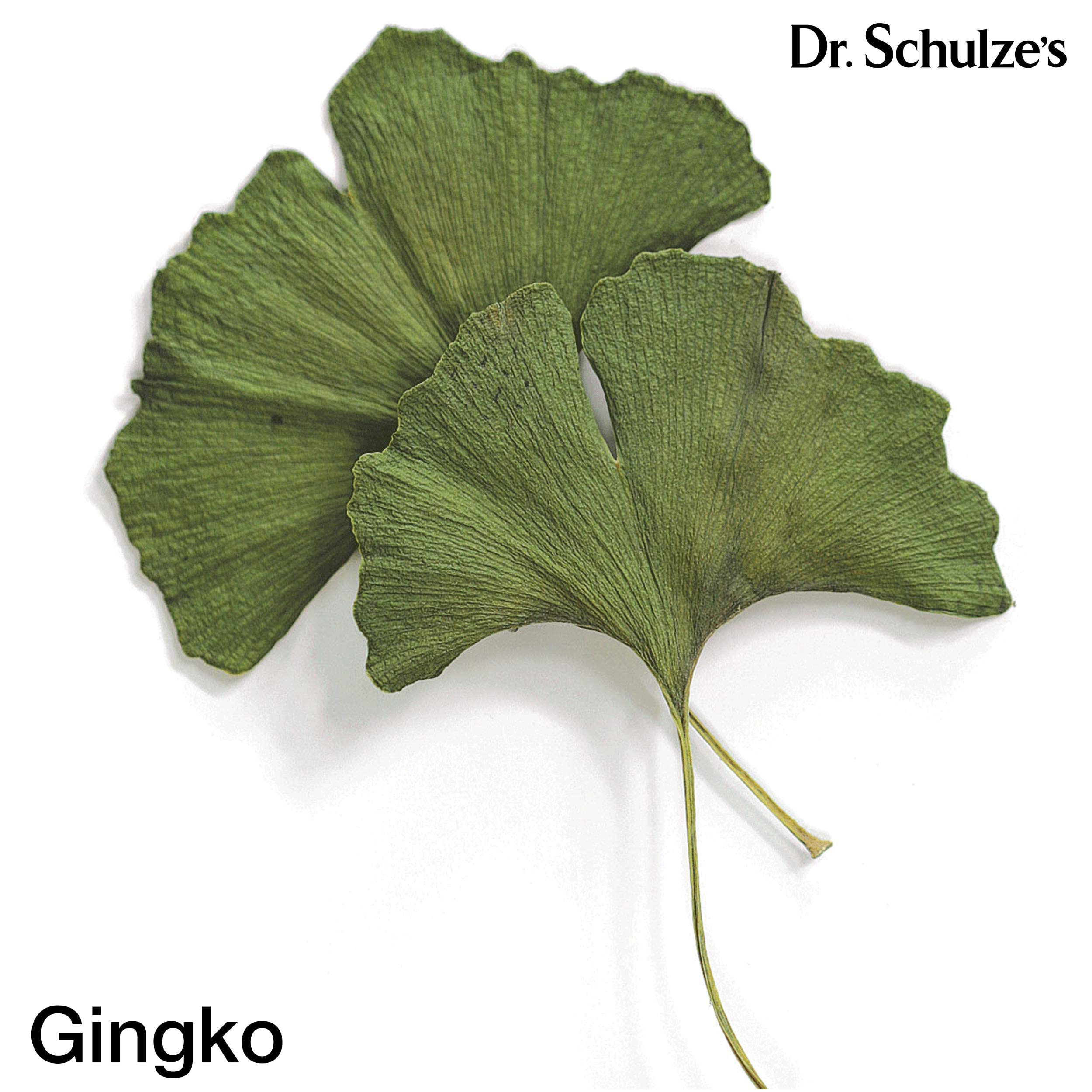 Dr. Schulze's Vegan Brain Formula Ginkgo Biloba 118g packaging