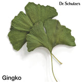 Dr. Schulze's Vegan Brain Formula Ginkgo Biloba 118g packaging