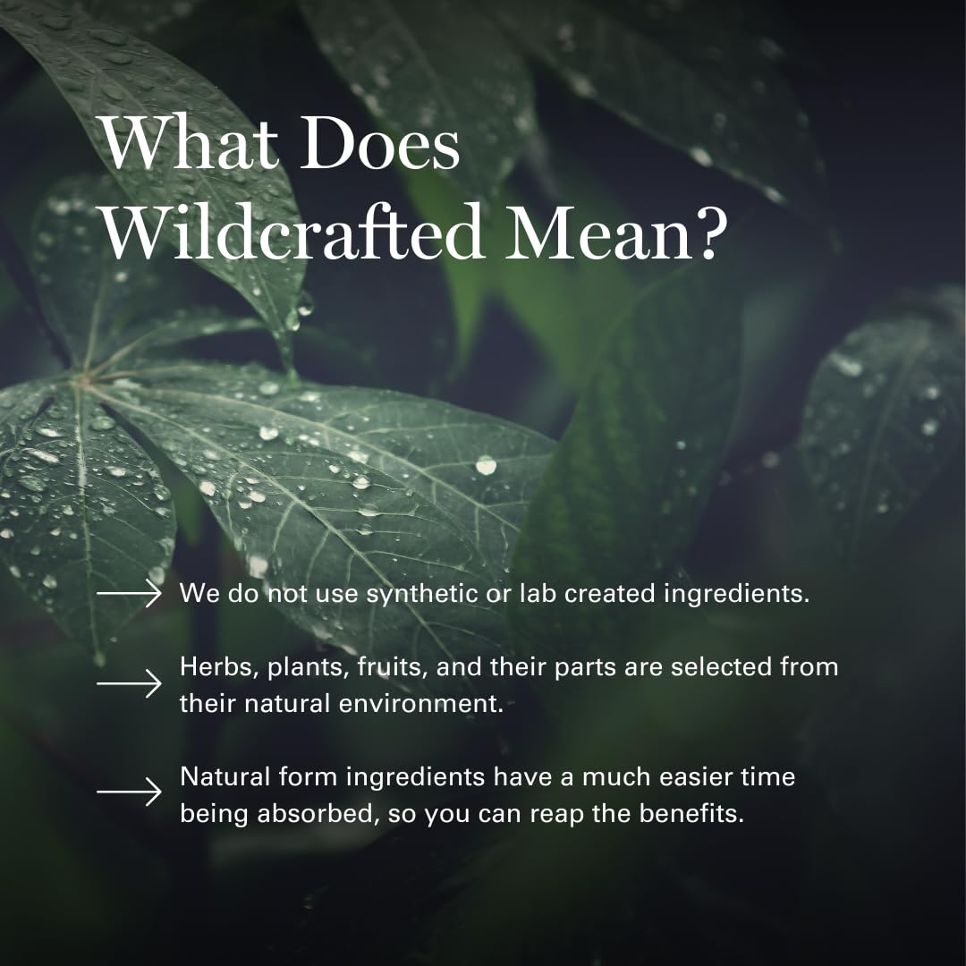 Dr. Sebi's Cell Food Blended Vitamin & Mineral Supplement packaging details
