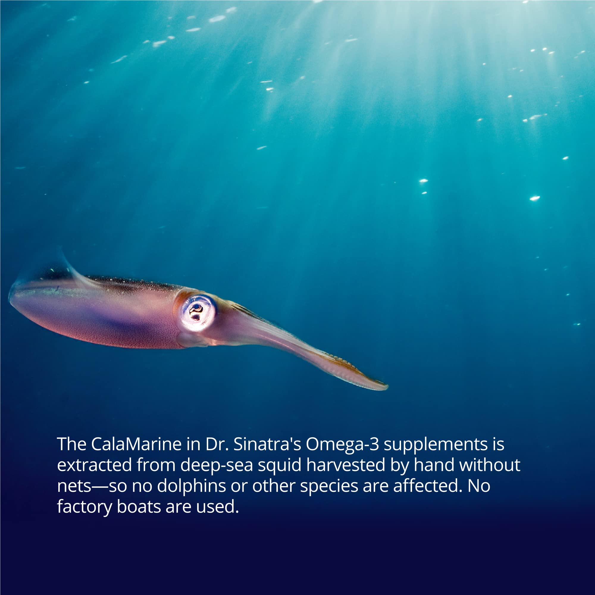 Dr. Sinatra Omega-3 CalaMarine ingredients list