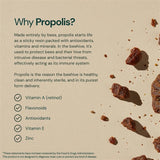 Dr Sosnowski's Bee Propolis Capsules on a wooden table