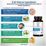 Dr. Stern daily wellness Sleep Supplement 68g vegan capsules in hand