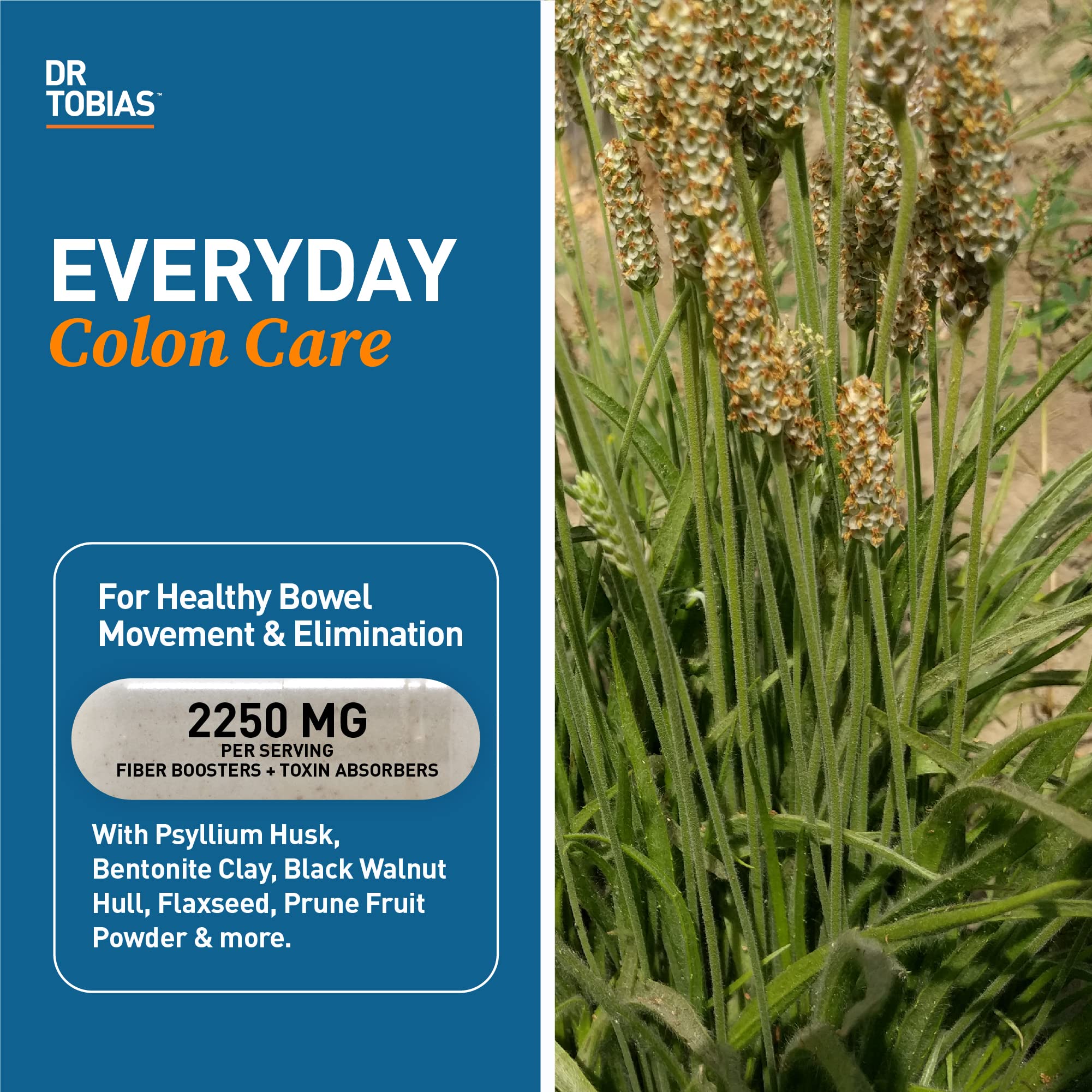Dr. Tobias Psyllium Husk Capsules bottle side view