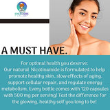 Dr. Valerie Nelson Nicotinamide Vitamin B3 500mg capsules on a wooden surface