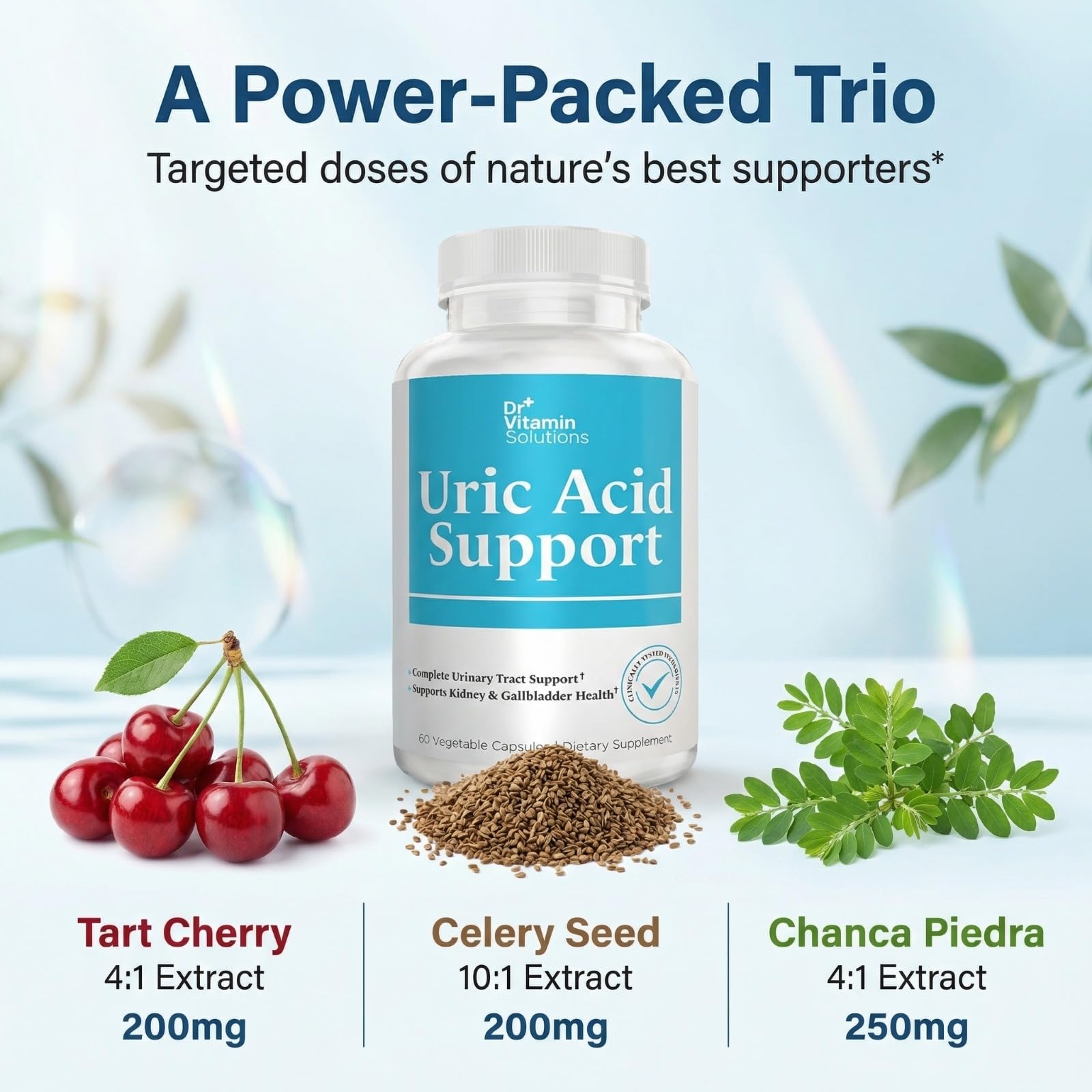 DR VITAMIN SOLUTIONS Uric Acid Support capsule close-up