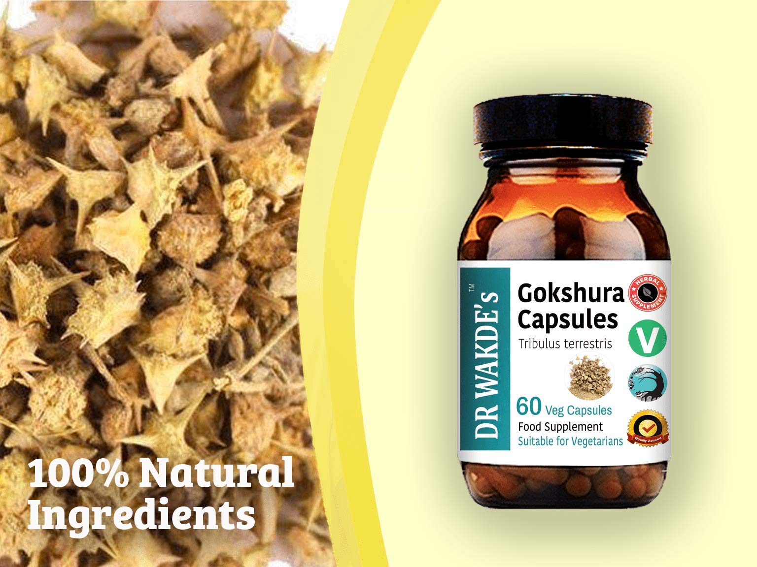 DR WAKDE's Gokshura Capsules open with powder inside