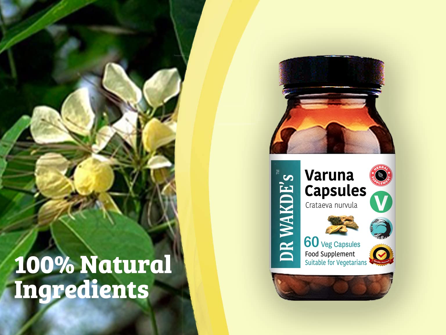 DR WAKDE's Varuna Bark Capsules 500mg bottle with natural background