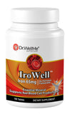 DR WELLME NUTRITION Iron Supplement 68g front view